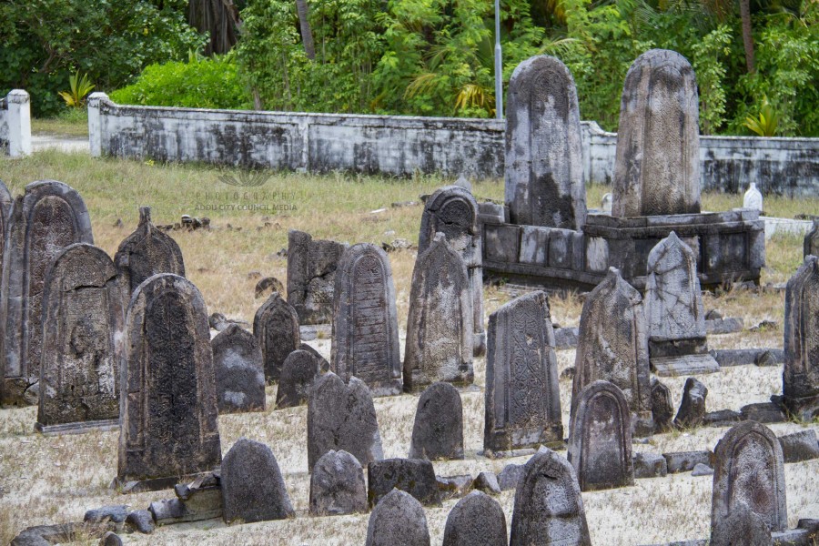 ކޯގަންނު ބެލެހެއްޓުން ކައުންސިލުން ހަވާލުވެއްޖެ 