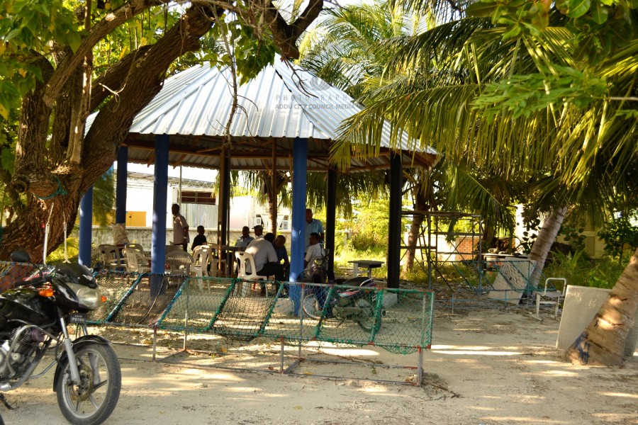 އައްޑޫސިޓީގެ އިސްރަށްވެހިންނަށް އަމާޒުކޮށްގެން ޙާއްސަ ހަރަކާތްތަކެއް