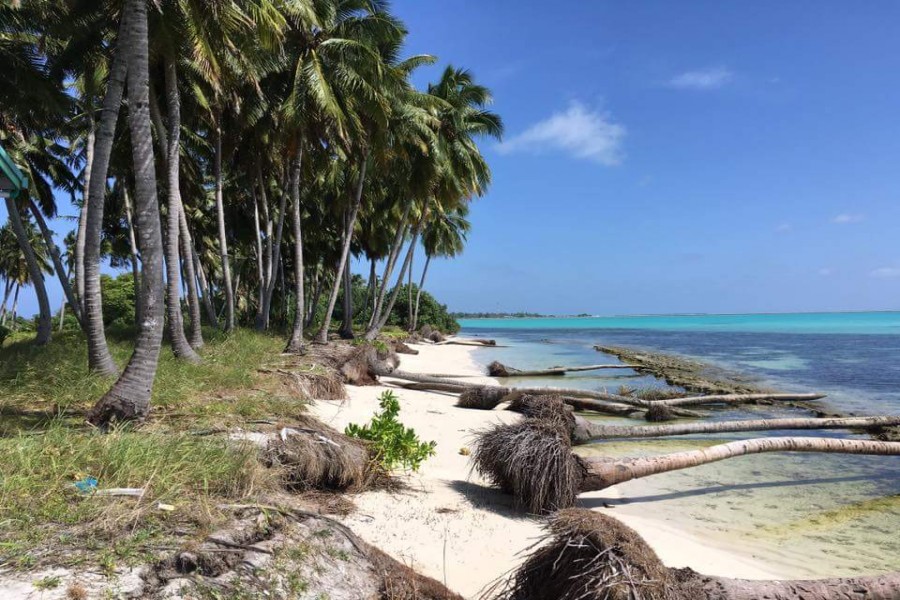 ރަށް ގިރުމާއި ގުޅޭ ގޮތުން ހަދާ ސާވޭގެ މަސައްކަތް ފަށައިފި